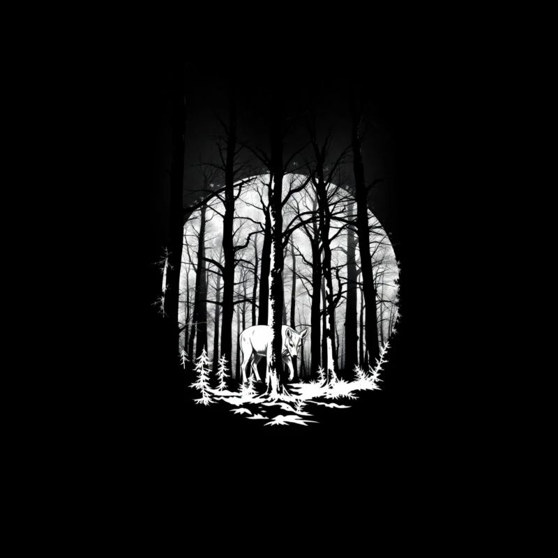 ✨🌲 « Murmures de la forêt » 🌿🌙