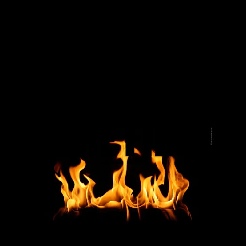 ryan started the fire