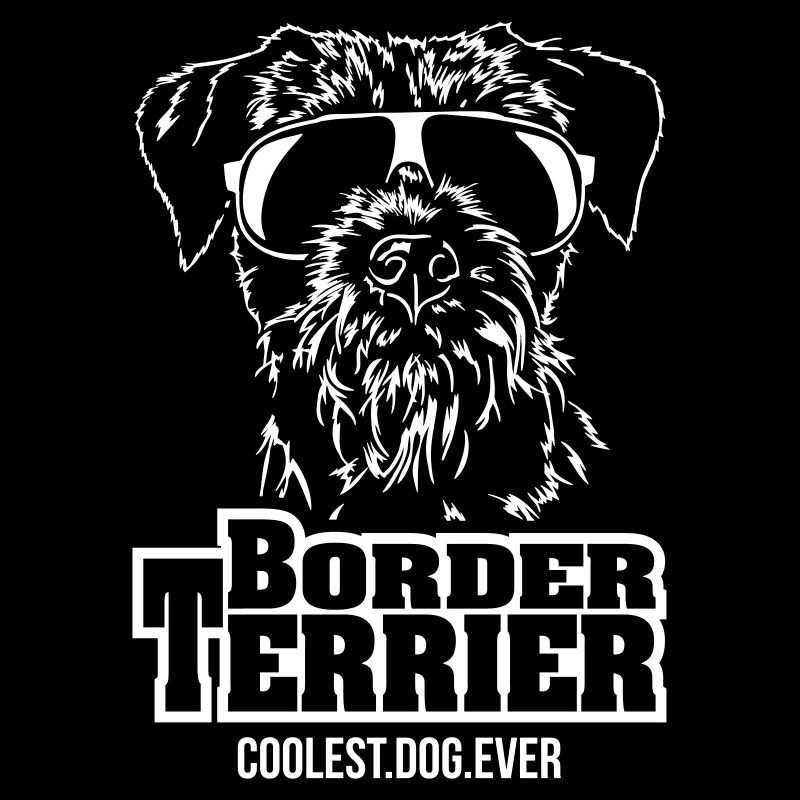 BORDER TERRIER coolest dog chiens proies Wilsigns