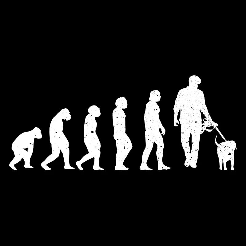 Hundetrainer Hundetraining Hundeschule
