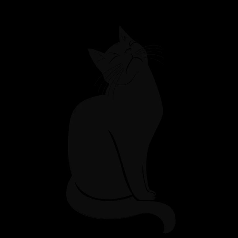 chat trop réfléchi (et aussi affamé)
