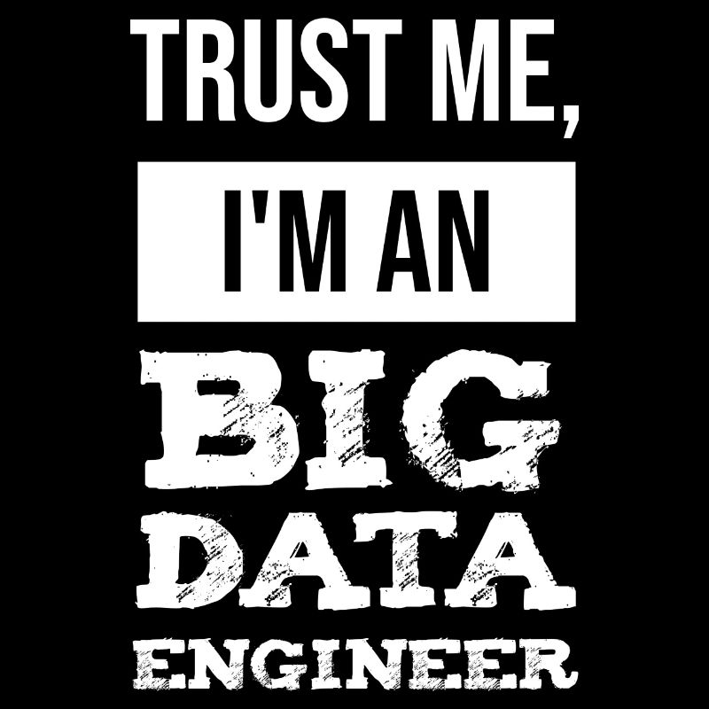 Big Data Engineer Datentechniker IT Entwickler