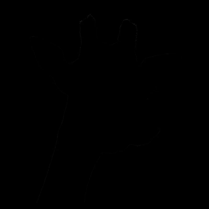 schwarze Giraffe