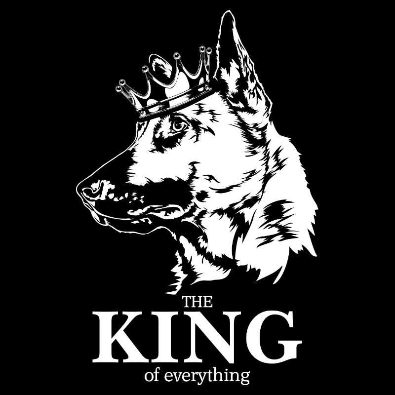 Malinois roi de tout dire chiens