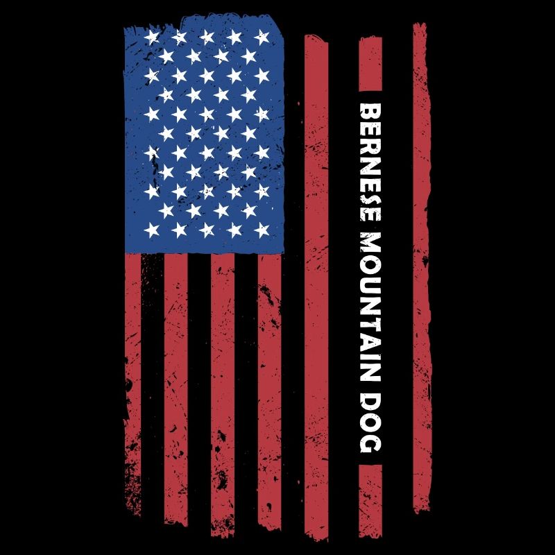 Bouvier Bernois Drapeau américain