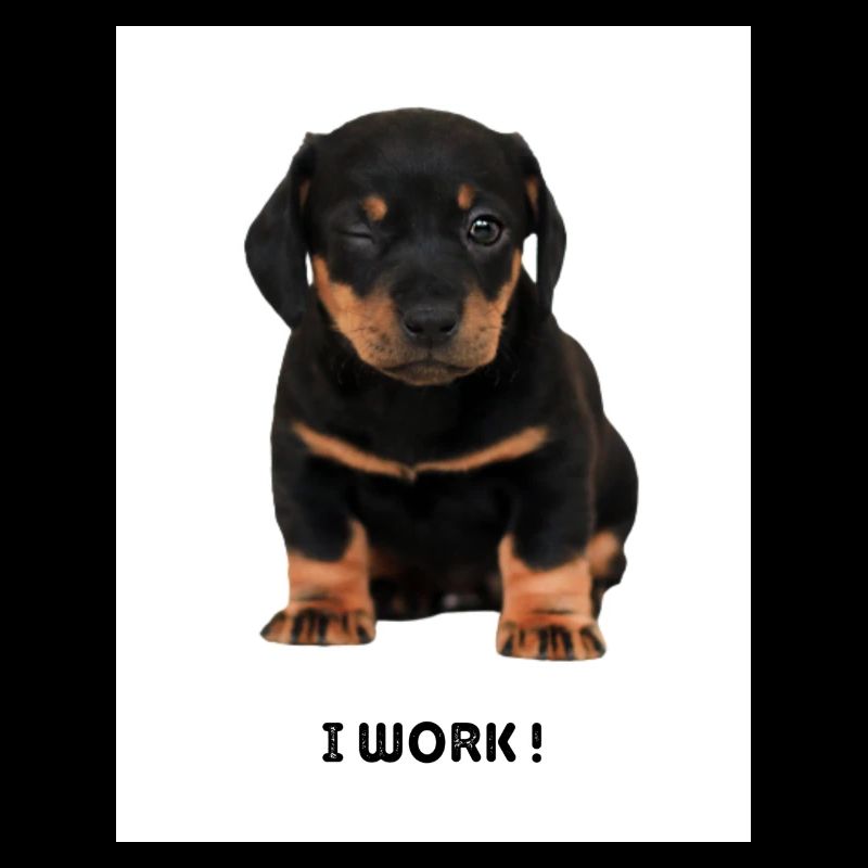 chien