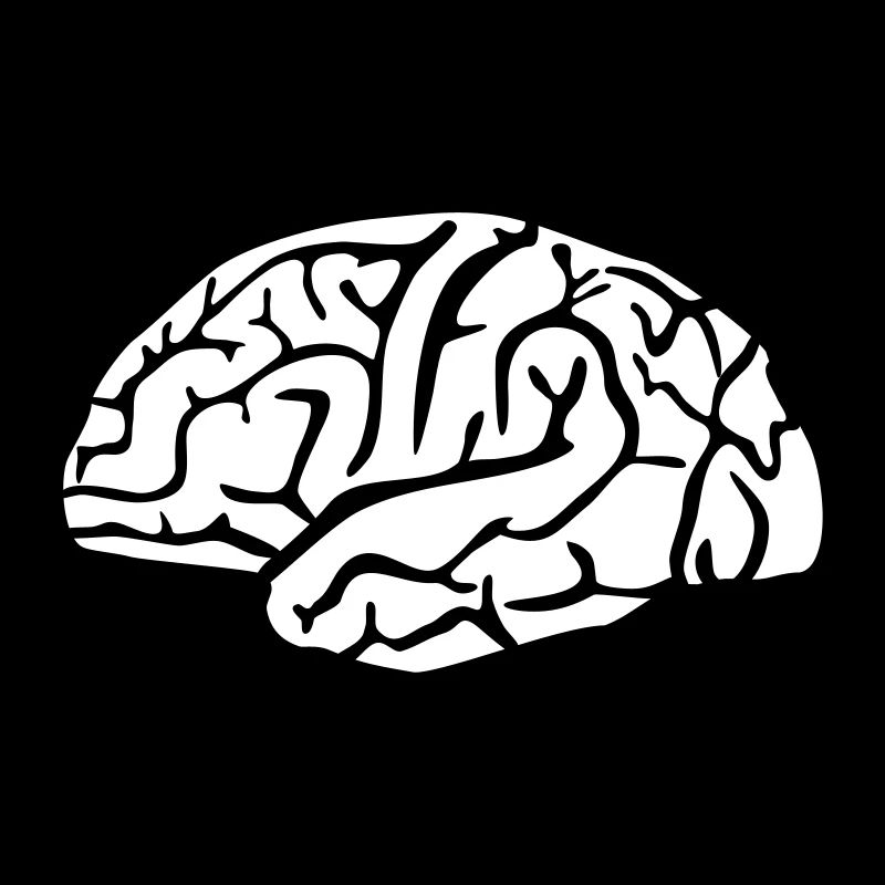 Brain