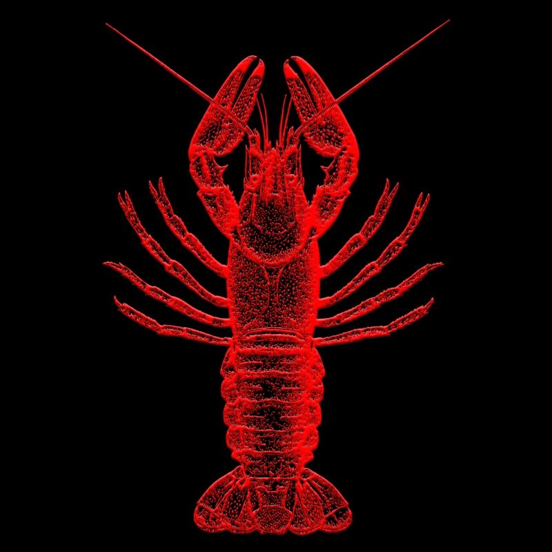 lobster