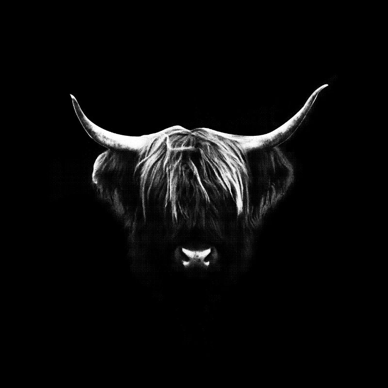 buffalo
