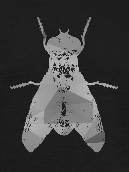 Fly