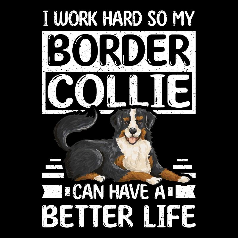 work hard border collie can have a better life