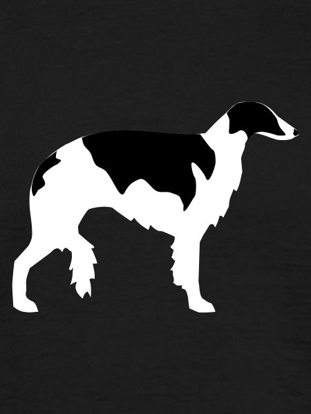 Borzoi