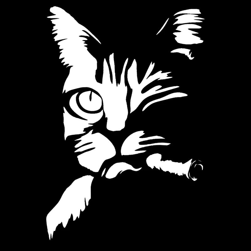 Chat avec cigare dans la bouche