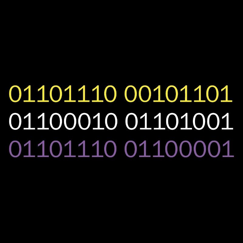 NON-BINARY en code binaire