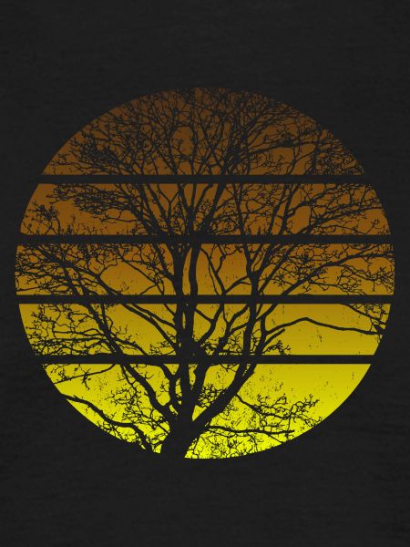 Tree Sunset - Hiking