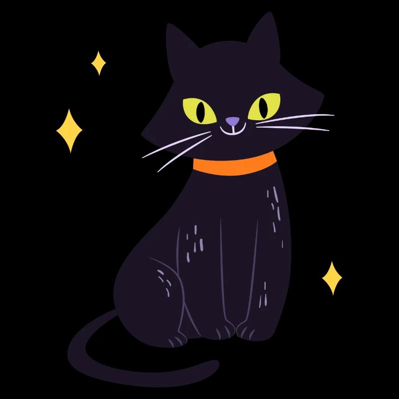 Black cat
