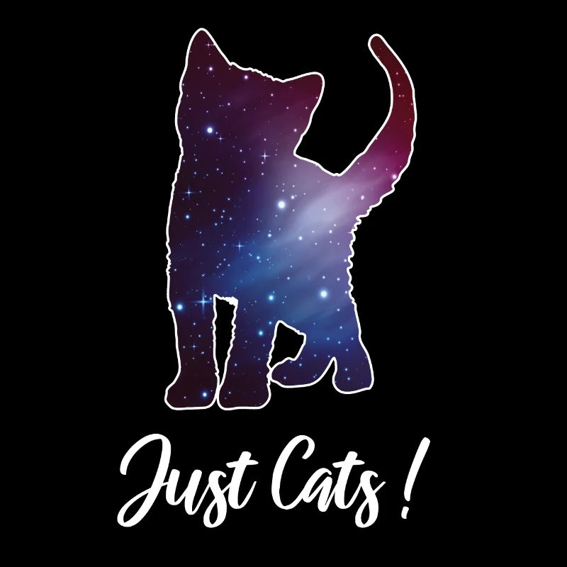 Cat Kitten Silhouette Space Cat Galaxy Galaxy