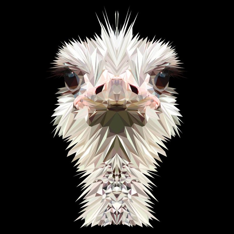 Ostrich