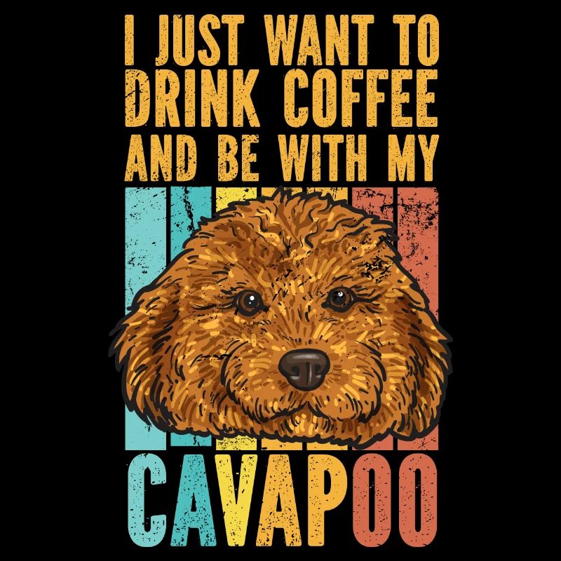 Cavapoo Cavoodle Capoodle Hund