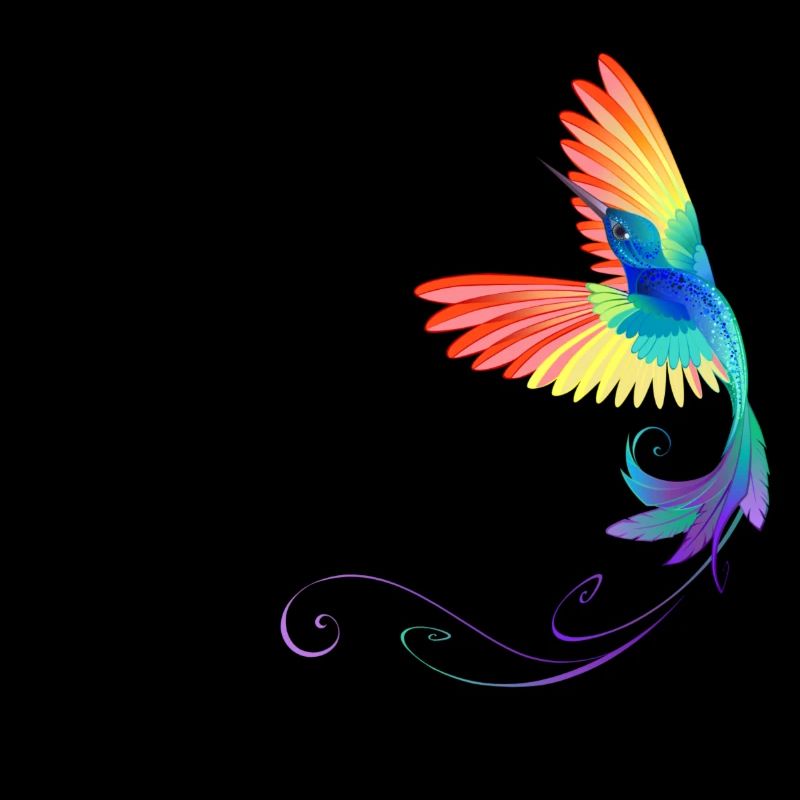 Paradisebird