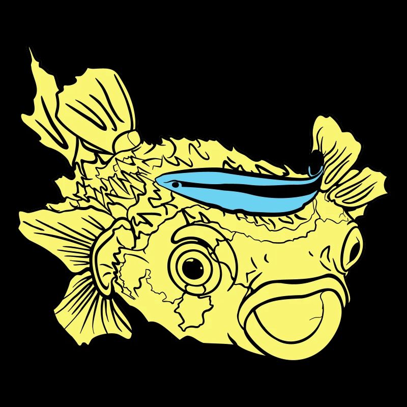Igelfisch Kugelfisch Putzerlippfisch