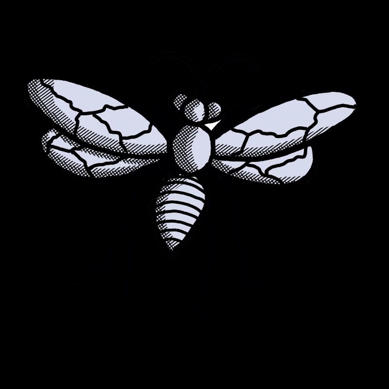 Fly