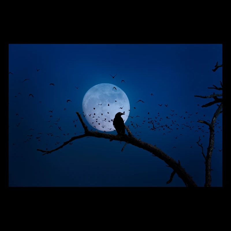 Crow in the full moon