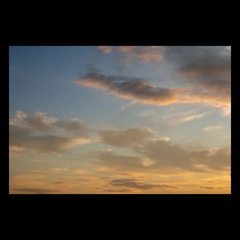 Under morning sky