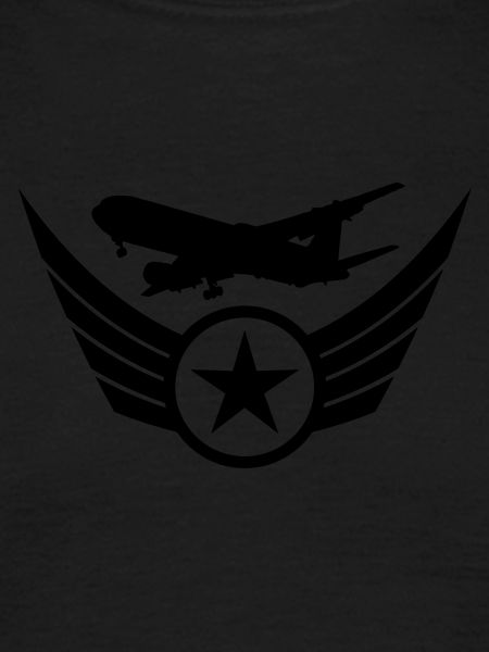 airplane wing logo design star star pilots crest