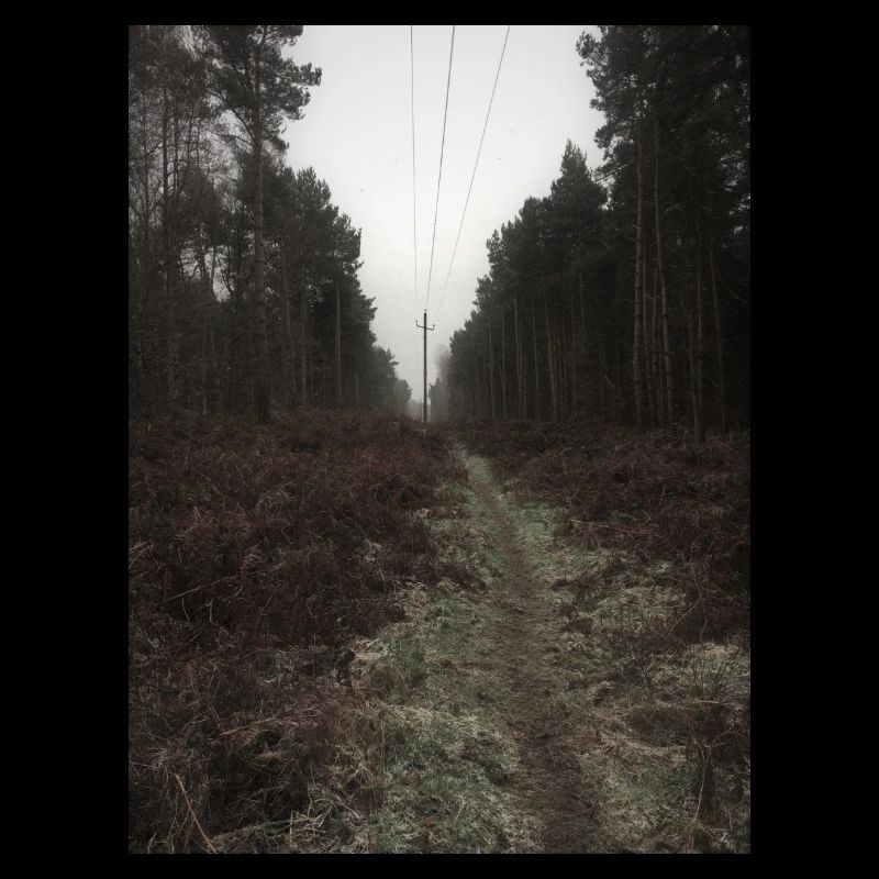 twigmoor