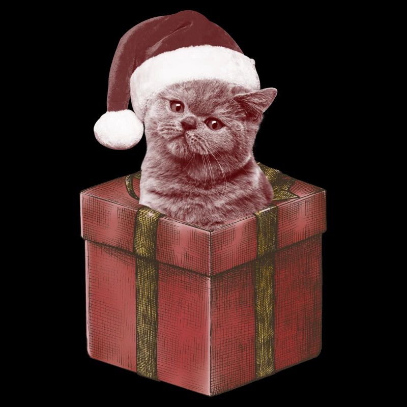 Cadeau Cat Bonnet de Noël