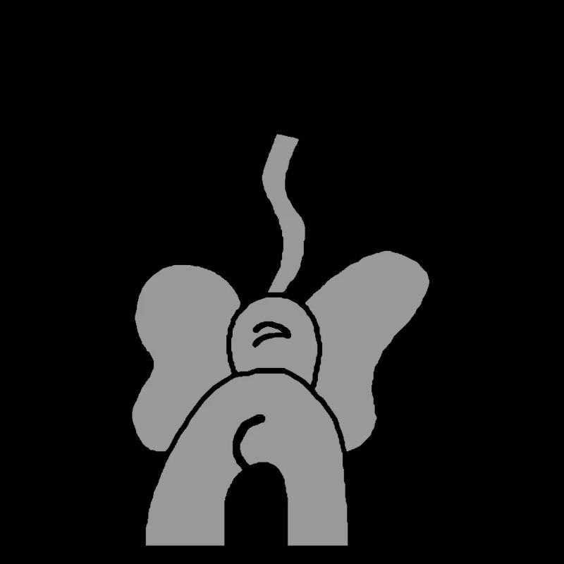 Elefant