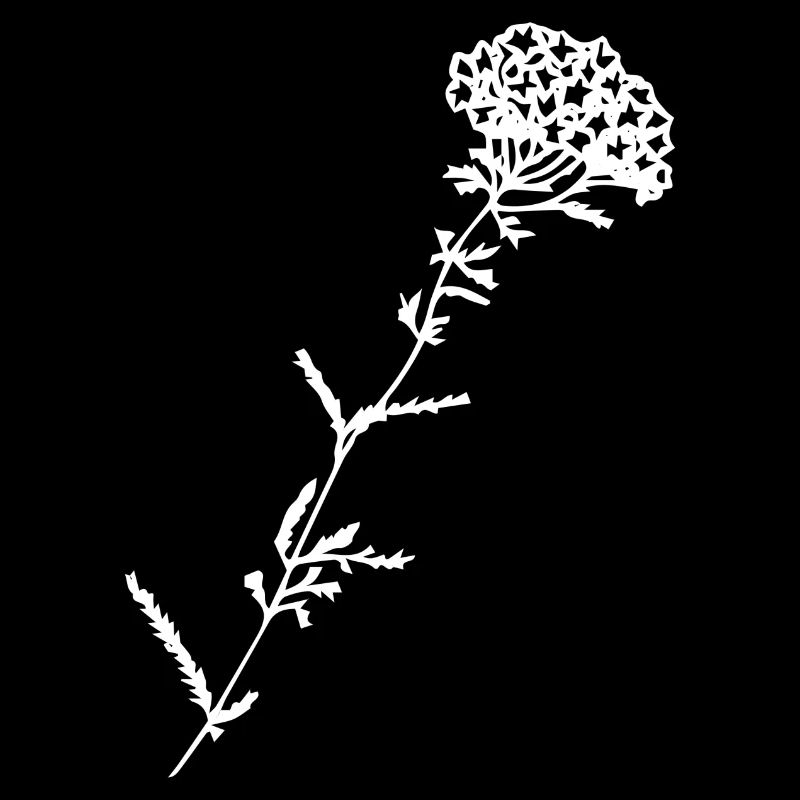 Blume mit Blüte Geschenk Idee in weiß