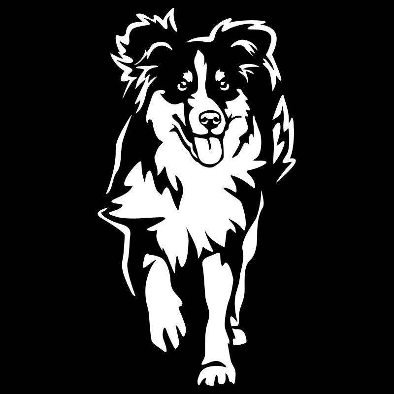 Australian Shepherd "Black Edition"