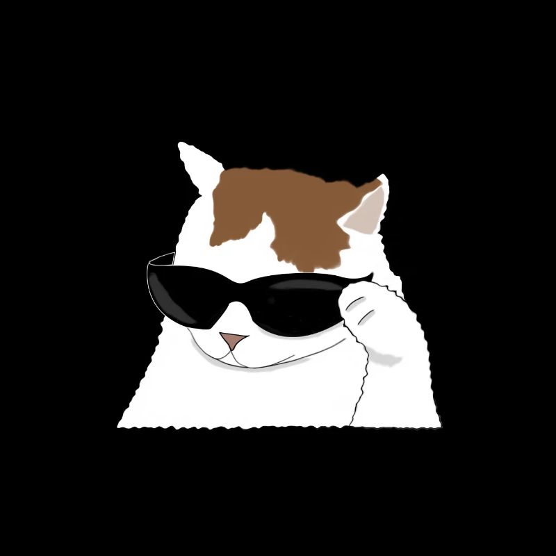Cool Cat meme