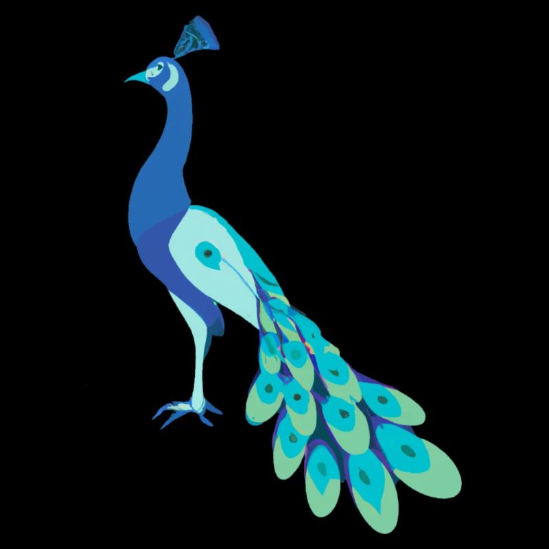 Oiseau de paradis