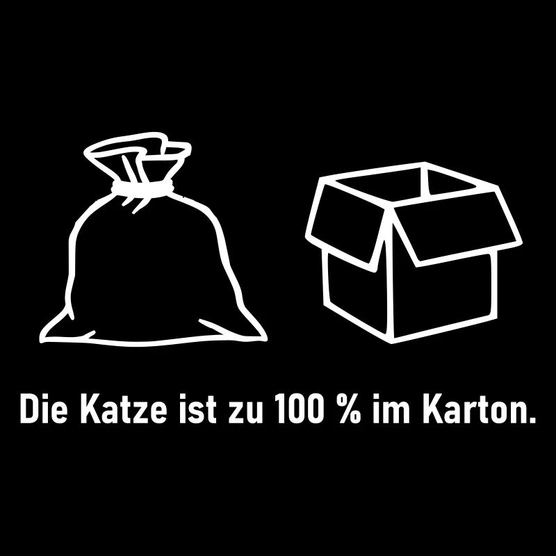 Katze im Karton