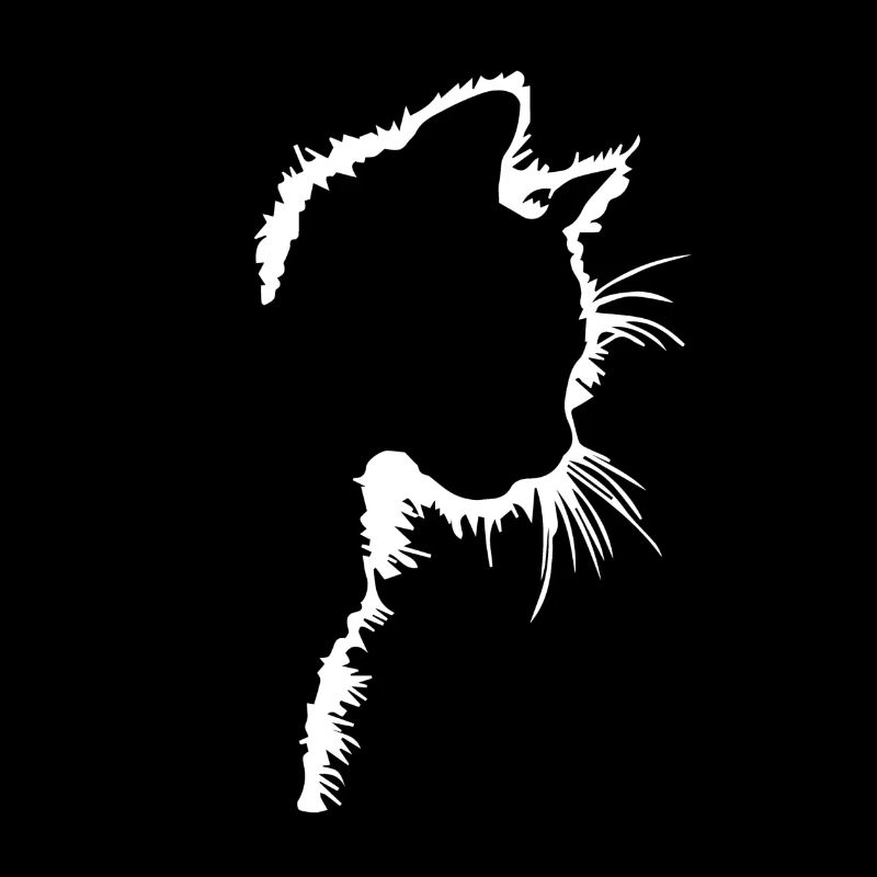 Chat silhouette mignon chaton miau