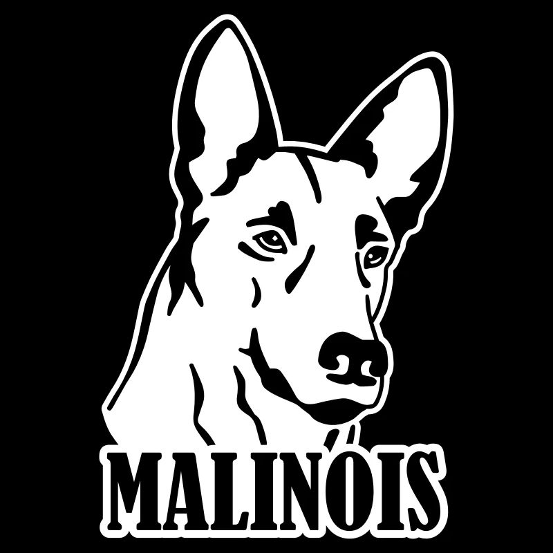 malinois