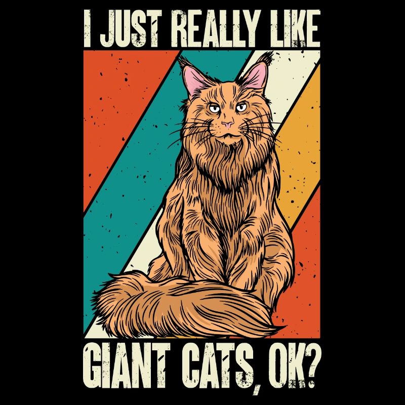 Maine Coon Chat