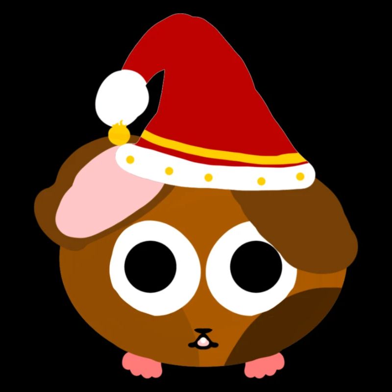 Jonon cochon d’Inde de Noël