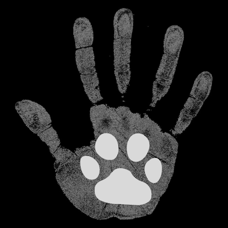 Dog Human High five