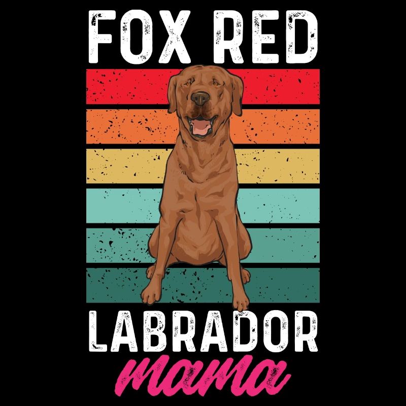Foxred Labrador Fox Red Labrador Retriever