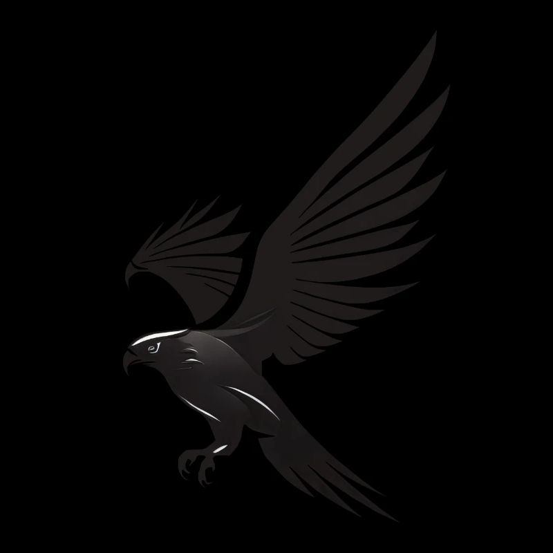 Sublime glide: Black eagle as a symbol