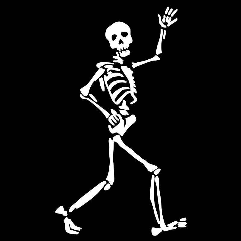 Skeletton
