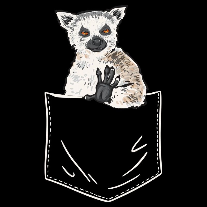Lemur Catta Ring-tailed lemur