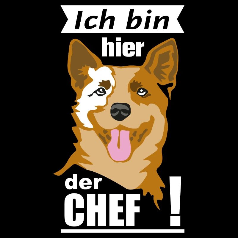 Ich bin Chef Cattle