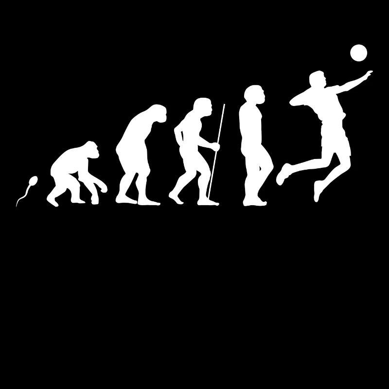 Evolution Volleyball 8