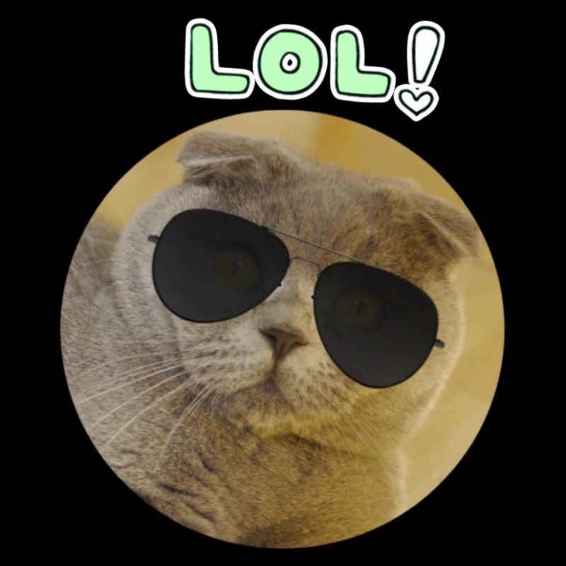 Chat moderne