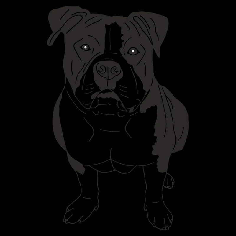 American Bully XL
